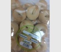 بوابة المدينة- معمول