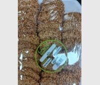 بوابة المدينة- برازق