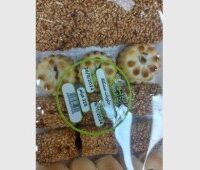 بوابة المدينة- حلويات مشكللة