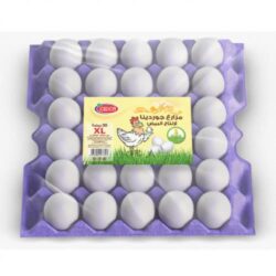 بيض جوردينا xl