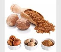 جوز الطيب حب