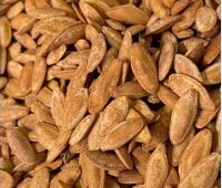 بزر كوسا مدخن