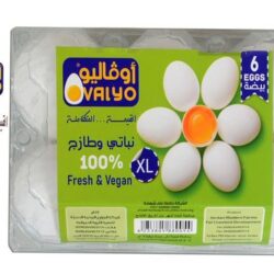 بيض اوفاليوم *6