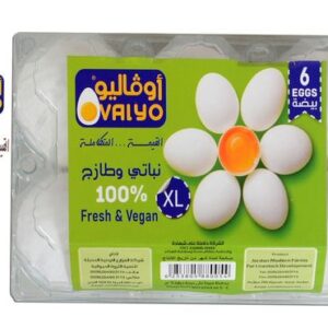 بيض اوفاليوم *6