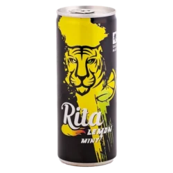 ريتا مشروب غازي بطعم ليمون ونعنع 240 مل