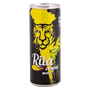 ريتا مشروب غازي بطعم ليمون ونعنع 240 مل
