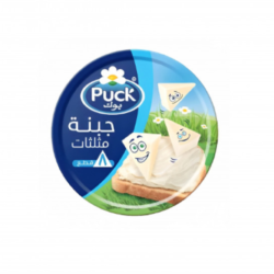 بوك جبنة مثلثات 8 قطعة