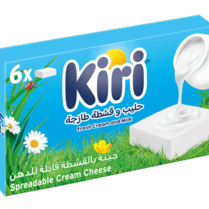 كيري جبنة مربعات بالقشطة قابلة للدهن، 6 قطع، 100 جرام