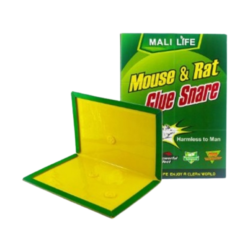 لاصق مصيدة للفئران