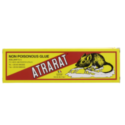 لاصق مصيدة للفئران