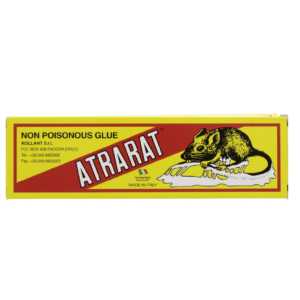 لاصق مصيدة للفئران