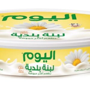 اليوم لبنة بلدية حامضة 500 غم